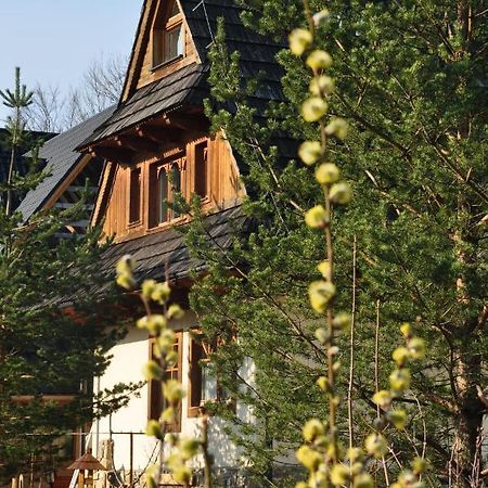 Gontyna Apartamento Zakopane Exterior foto