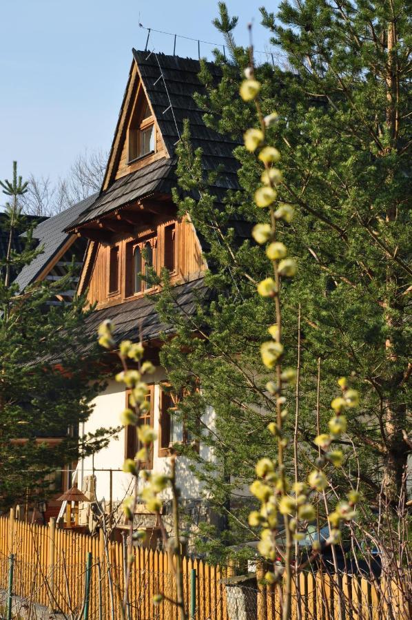 Gontyna Apartamento Zakopane Exterior foto